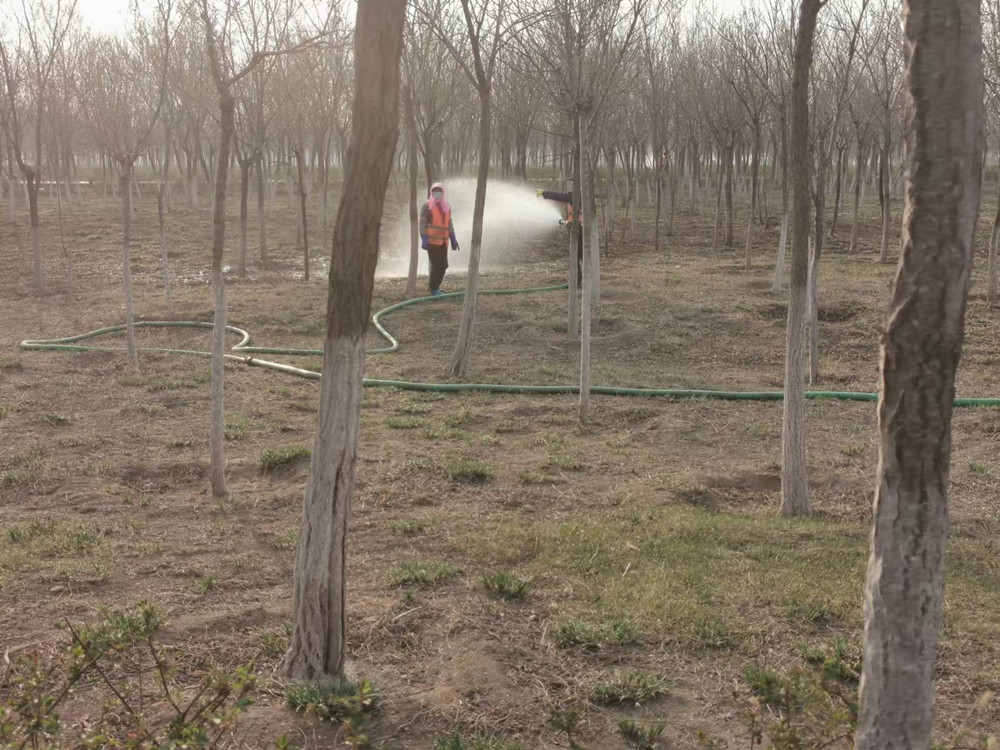 Tianjin Gardeners Are Getting Ready For Spring By Water The Trees With PVC Layflat Hose